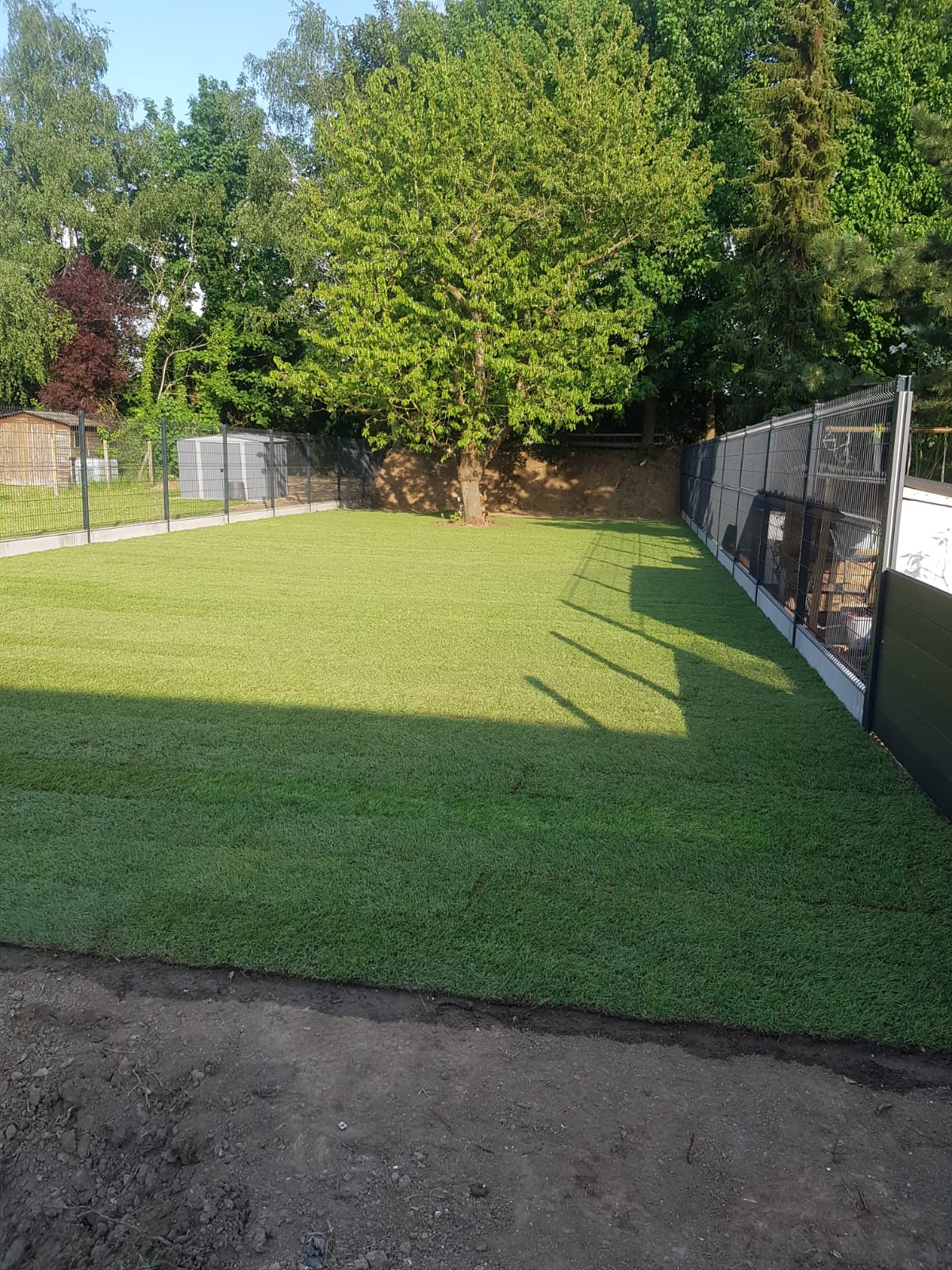 Gazon du Nord faire poser du gazon en rouleau